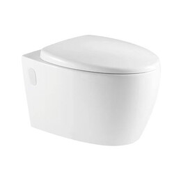 Унитаз подвесной безободковый Azario Deya AZ-2115 с крышкой микролифт - фото 