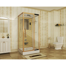 Гидробокс Niagara Luxe NG-7714G 100x90 см, золото/прозрачное - фото 