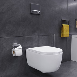 Унитаз подвесной безободковый Damixa Sirius DX86C1800SC с крышкой микролифт - фото 