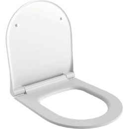Сиденье с крышкой для унитаза Ambassador Queen микролифт 112T20101S, белый матовый - фото 