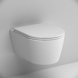 Унитаз подвесной Am.Pm Func FlashClean C8F1700SC с сиденьем микролифт - фото 