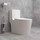 Унитаз-моноблок безободковый EvaGold EG050008 с тонкой крышкой микролифт - фото, картинка  Унитаз-моноблок безободковый EvaGold EG050008 с тонкой крышкой микролифт - фото
