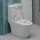 Унитаз-моноблок безободковый EvaGold EG050011 с тонкой крышкой микролифт - фото, картинка  Унитаз-моноблок безободковый EvaGold EG050011 с тонкой крышкой микролифт - фото