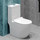 Унитаз-моноблок безободковый EvaGold EG050017 с тонкой крышкой микролифт - фото, картинка  Унитаз-моноблок безободковый EvaGold EG050017 с тонкой крышкой микролифт - фото