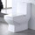Унитаз-моноблок EvaGold EG050019 с крышкой микролифт - фото, картинка  Унитаз-моноблок EvaGold EG050019 с крышкой микролифт - фото