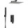 Душевая система для душа WasserKraft Abens A16162, черный - фото 