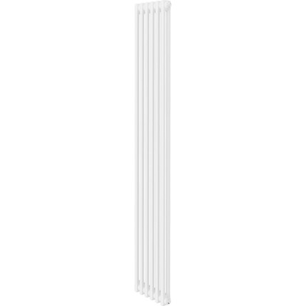 Вертикальный радиатор Royal Thermo Insignia C2180 290x1800 мм (6 секций) - фото 
