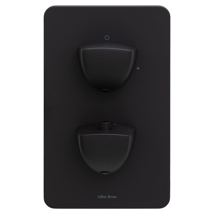 Смеситель для душа с термостатом Allen Brau Infinity 5.21116-31 (со скрытой частью) чёрный матовый - фото 2