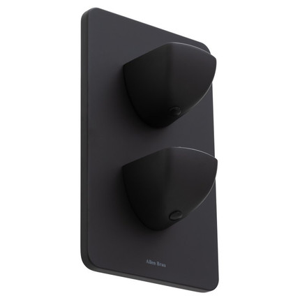 Смеситель для душа с термостатом Allen Brau Infinity 5.21116-31 (со скрытой частью) чёрный матовый - фото 3