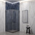 Душевое ограждение EvaGold 100х100 см EG220075, оружейная сталь/прозрачное - фото 