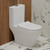 Унитаз-моноблок безободковый EvaGold EG050033 с тонкой крышкой микролифт - фото, картинка  Унитаз-моноблок безободковый EvaGold EG050033 с тонкой крышкой микролифт - фото