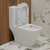 Унитаз-моноблок безободковый EvaGold EG050033 с тонкой крышкой микролифт - фото, картинка 4 Унитаз-моноблок безободковый EvaGold EG050033 с тонкой крышкой микролифт - фото 4