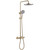 Душевая стойка с термостатом Abber Thermostat AF8516GL, золото матовое - фото 