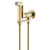 Набор для гигиенического душа Aquatek Альфа AQ1919BG (со скрытой частью) золото шлифованное - фото 