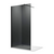 Душевая перегородка Parly 80х190 см T80G, чёрный/тонированное - фото 