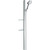 Душевой гарнитур Hansgrohe Raindance Select S 120 3jet 27646400, белый/хром - фото, картинка  Душевой гарнитур Hansgrohe Raindance Select S 120 3jet 27646400, белый/хром - фото