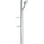Душевой гарнитур Hansgrohe Raindance Select S 120 3jet 27646000 - фото 