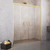 Душевая дверь Radaway Idea Gold DWD 150 см 387125-09-01, золото/прозрачное - фото 