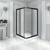 Душевое ограждение Радомир Дрим 100x100 см, черный/матовое - фото 