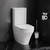 Унитаз-компакт Am.Pm Inspire C508607WH - фото 2