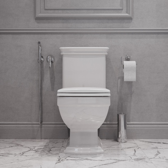 Унитаз-компакт Iddis Oldie OLD2DSEi24 с крышкой микролифт - фото 6