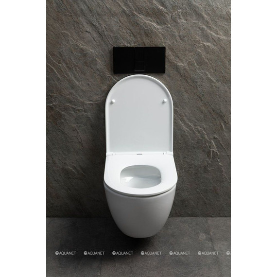 Унитаз подвесной безободковый Allen Brau Priority 4.31008.20 (система смыва Торнадо) - фото 6