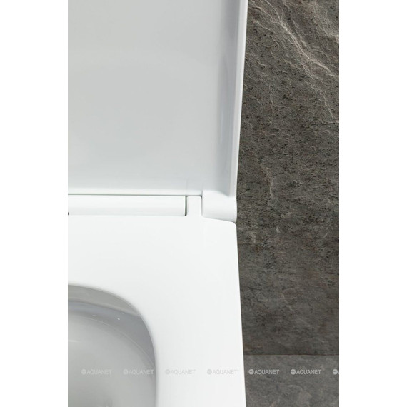 Унитаз подвесной безободковый Allen Brau Priority 4.31009.20 (система смыва Торнадо) - фото 6