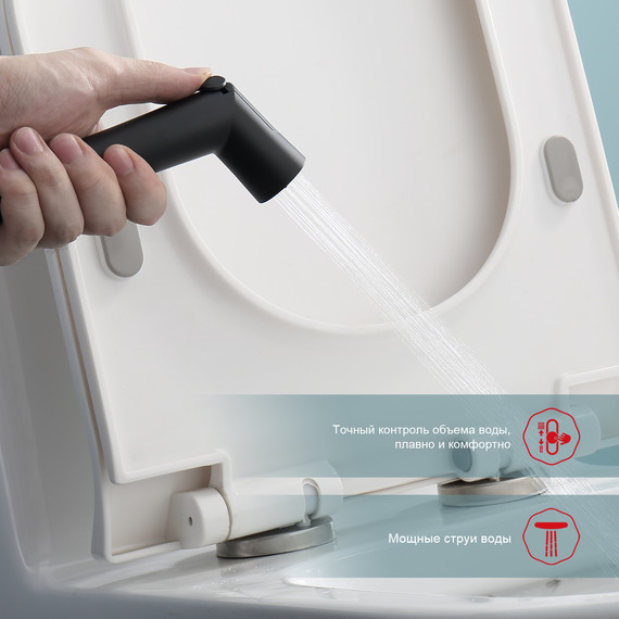 Набор для гигиенического душа с термостатом Raglo R23.56.06 (со скрытой частью) чёрный - фото 6