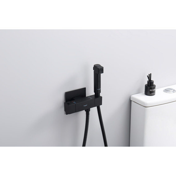 Набор для гигиенического душа с термостатом Raglo R24.56.06 (со скрытой частью) чёрный - фото 4