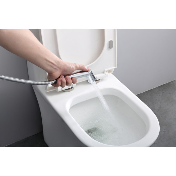 Набор для гигиенического душа с термостатом Raglo R23.56 (со скрытой частью) хром - фото 5