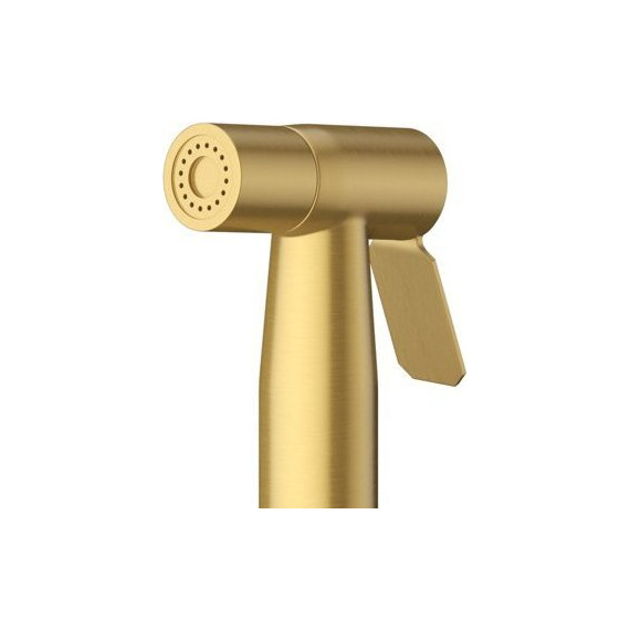 Набор для гигиенического душа Cezares RELAX-DIF-BORO (со скрытой частью), брашированное золото, Цвет производителя: брашированное золото - фото 3