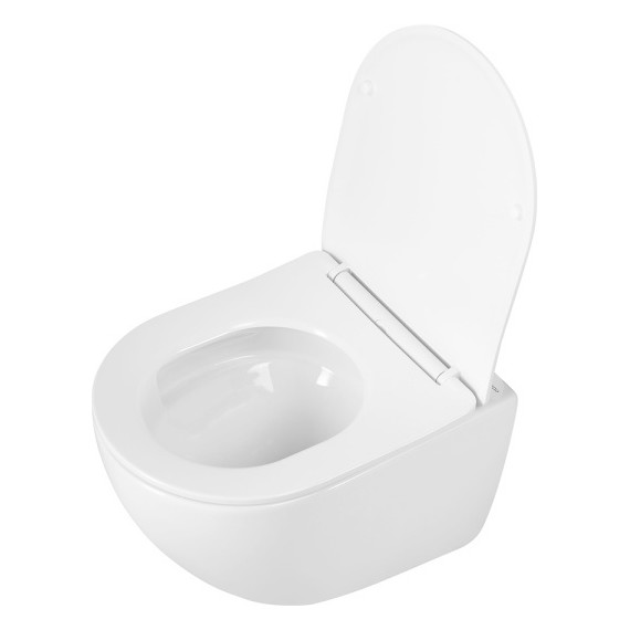 Унитаз подвесной безободковый BelBagno Amanda-Tor BB051CH-TOR-FC/SC (система смыва торнадо) с крышкой микролифт - фото 8