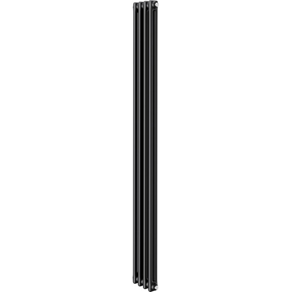 Вертикальный радиатор Royal Thermo Insignia C2180 200x1800 мм (4 секции) чёрный - фото 