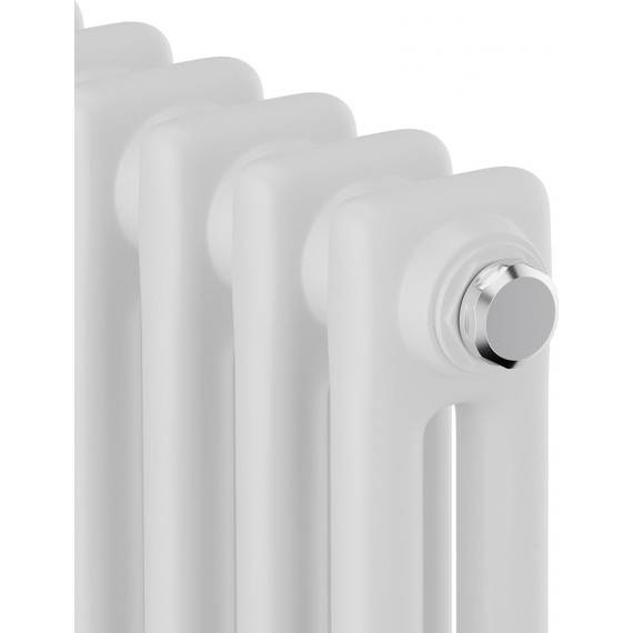 Вертикальный радиатор Royal Thermo Insignia C2180 200x1800 мм (4 секции) - фото 3