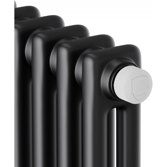 Вертикальный радиатор Royal Thermo Insignia VC2180 380x1800 мм (8 секций) чёрный - фото 3