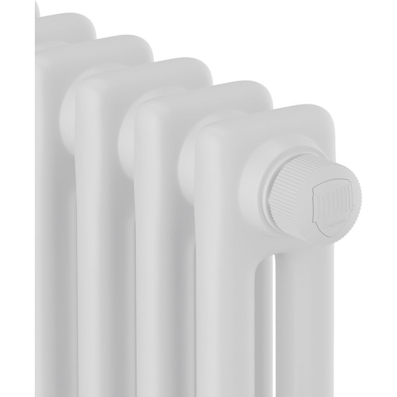 Вертикальный радиатор Royal Thermo Insignia VC2180 470x1800 мм (10 секций) белый - фото 3