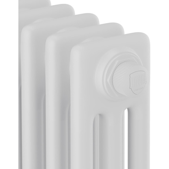 Вертикальный радиатор Royal Thermo Insignia VC3180 380x1800 мм (8 секций) - фото 3