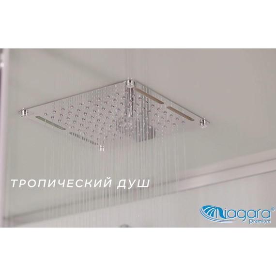Душевая кабина Niagara Premium 120x80 см NG-6012-01QR, хром/прозрачное (безсиликоновая сборка) - фото 4
