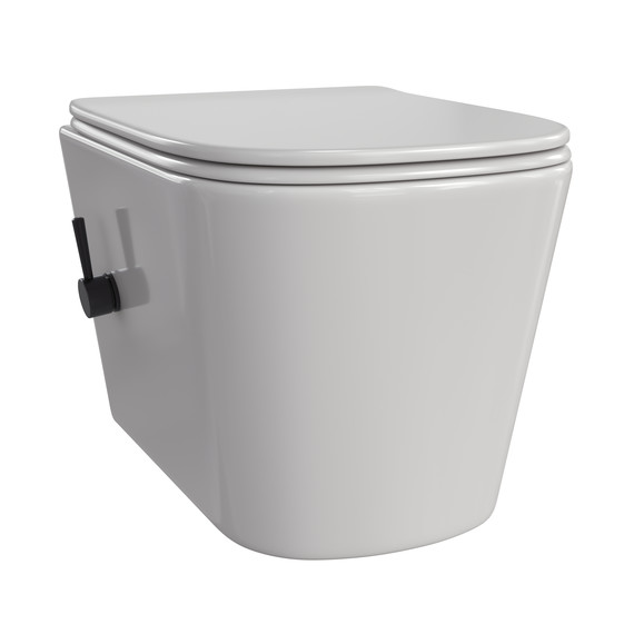 Унитаз-биде подвесной Taliente Correto CR25200 SMnero с крышкой микролифт - фото 2