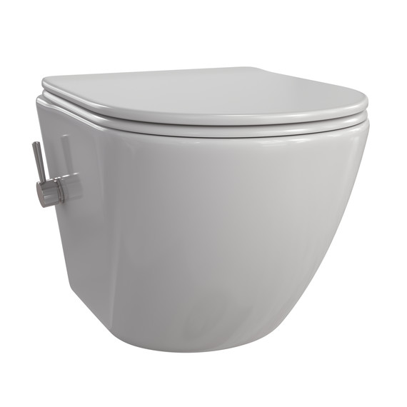 Унитаз-биде подвесной Taliente Amato AM25010 SMcromo с крышкой микролифт - фото 2