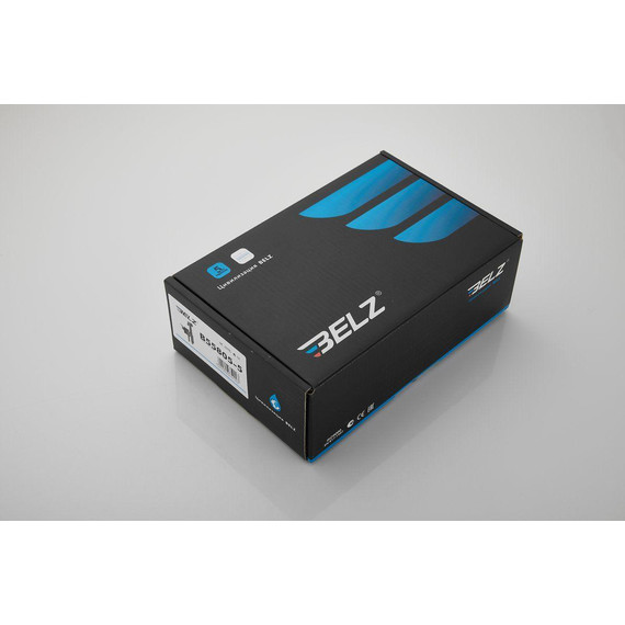 Набор для гигиенического душа Belz B55805-5 (со скрытой частью) золото матовое - фото 25