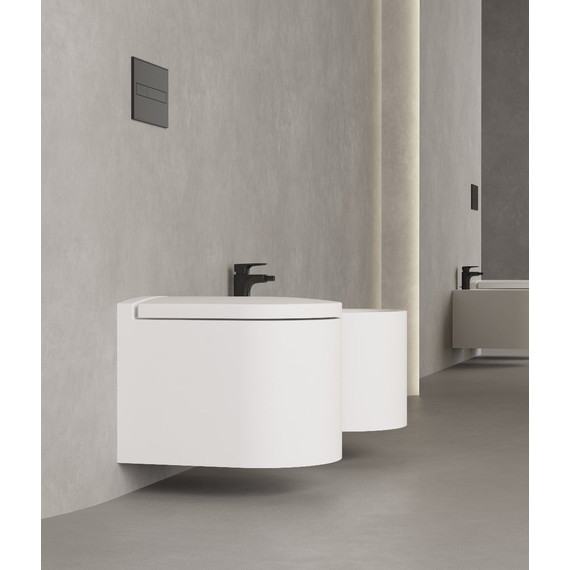 Унитаз подвесной безободковый Salini Gemelli 240121KMF с крышкой микролифт (S-Stone) RAL полностью - фото 5