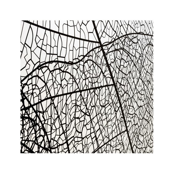 Душевая дверь Avacan (170-190) см FB2-170, чёрный/узор - фото 3