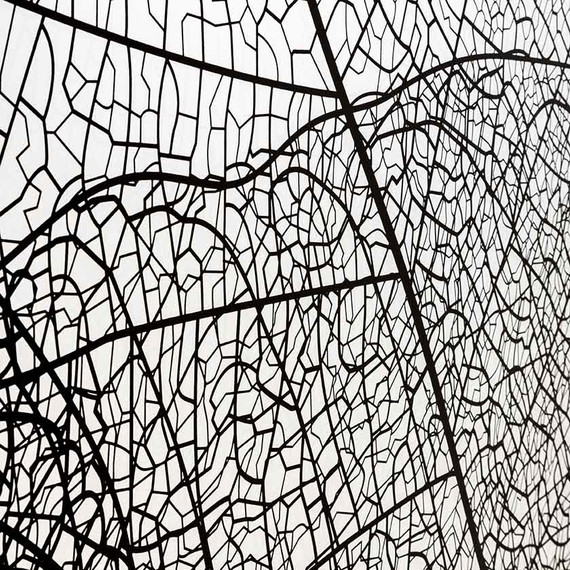 Душевая перегородка Avacan 110 см MB110 стекло (8 мм) с кронштейном в комплекте, чёрный/узор - фото 15