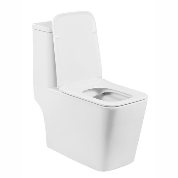 Унитаз-моноблок безободковый EvaGold EG050004 с тонкой крышкой микролифт - фото, картинка 10 Унитаз-моноблок безободковый EvaGold EG050004 с тонкой крышкой микролифт - фото 10