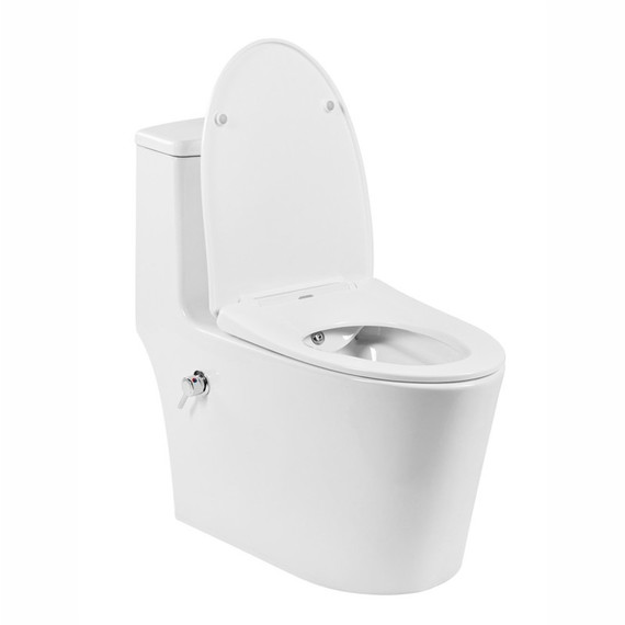 Унитаз-моноблок безободковый с функцией биде EvaGold EG050014 с тонкой крышкой микролифт - фото, картинка 4 Унитаз-моноблок безободковый с функцией биде EvaGold EG050014 с тонкой крышкой микролифт - фото 4