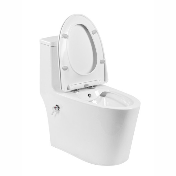Унитаз-моноблок безободковый с функцией биде EvaGold EG050014 с тонкой крышкой микролифт - фото, картинка 5 Унитаз-моноблок безободковый с функцией биде EvaGold EG050014 с тонкой крышкой микролифт - фото 5