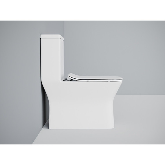 Унитаз-моноблок EvaGold EG050027 с тонкой крышкой микролифт - фото, картинка 5 Унитаз-моноблок EvaGold EG050027 с тонкой крышкой микролифт - фото 5