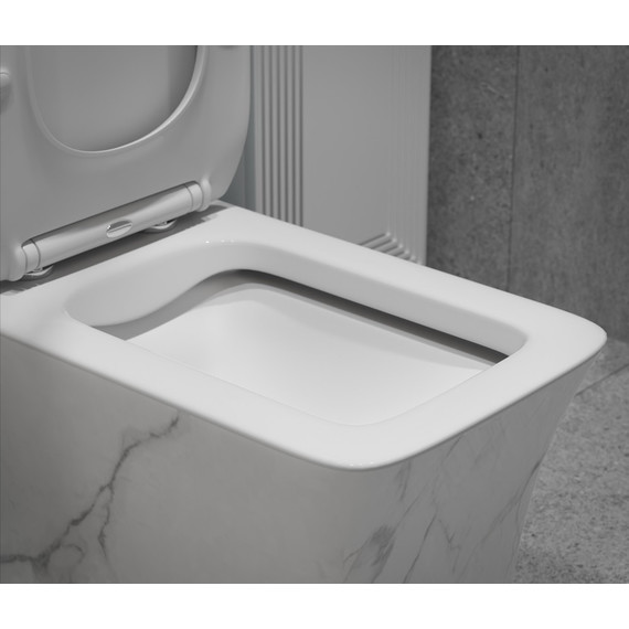 Унитаз-моноблок безободковый EvaGold EG060002 с тонкой крышкой микролифт, белый с декором - фото, картинка 8 Унитаз-моноблок безободковый EvaGold EG060002 с тонкой крышкой микролифт, белый с декором - фото 8