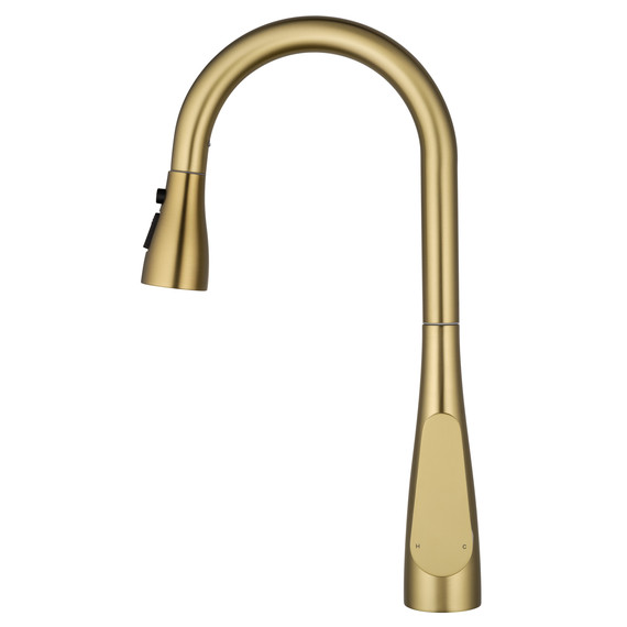 Смесители для кухни Wonzon & Woghand WW-121E201B-BG, золото - фото 3